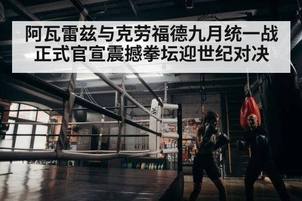 boxer training